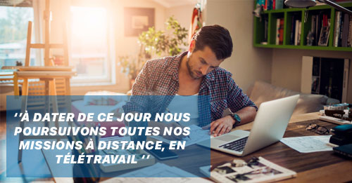 Web media international