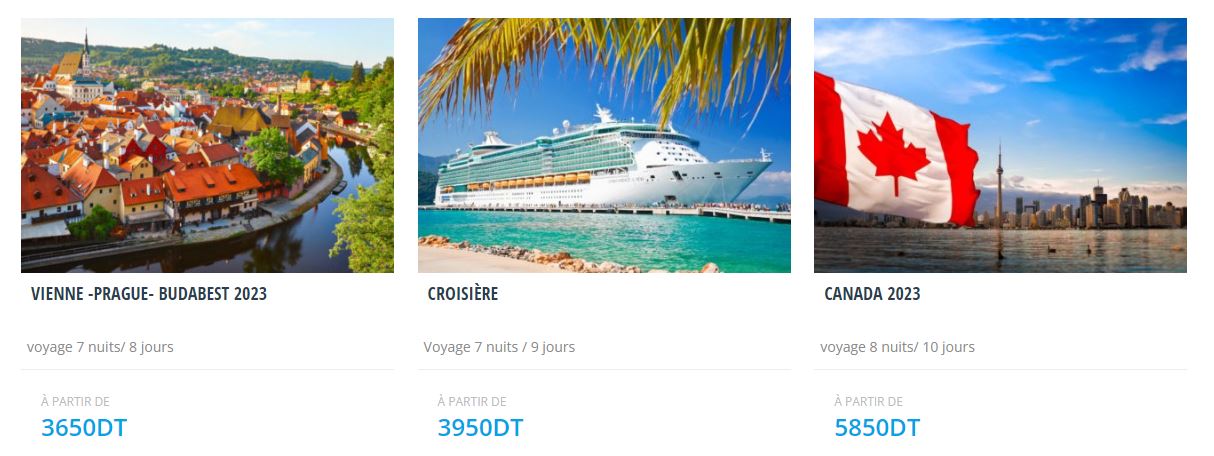 Création site web sur mesure AVIA Tours