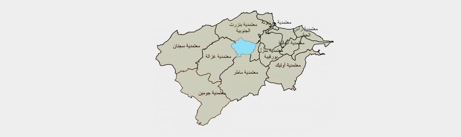 Création site web gouvernorat de Bizerte