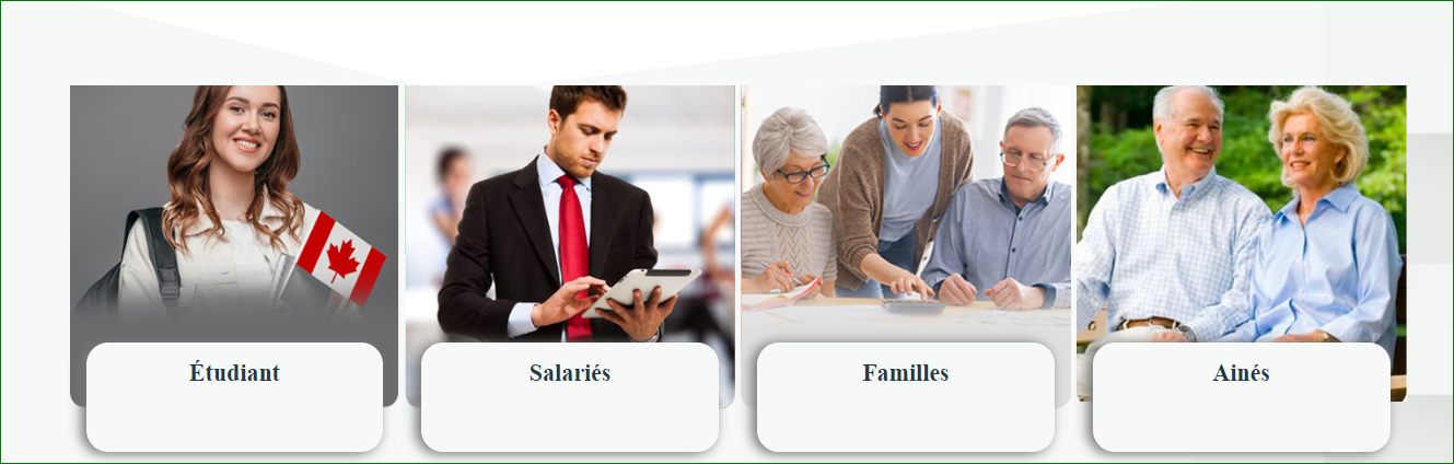 Création site sur mesure impôt sans fil