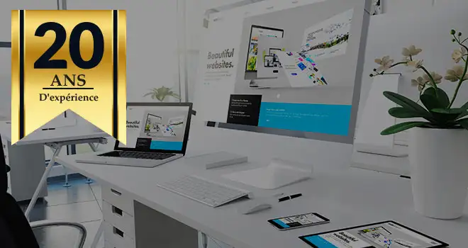 WEB MEDIA Agence web 20 Ans Experience