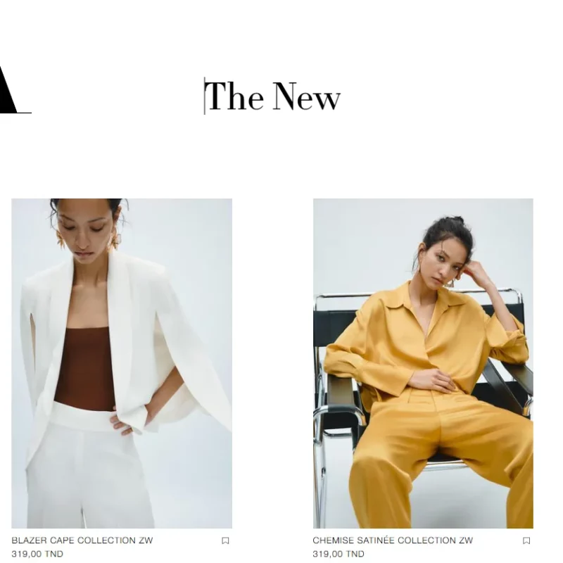 zara image de site affichée