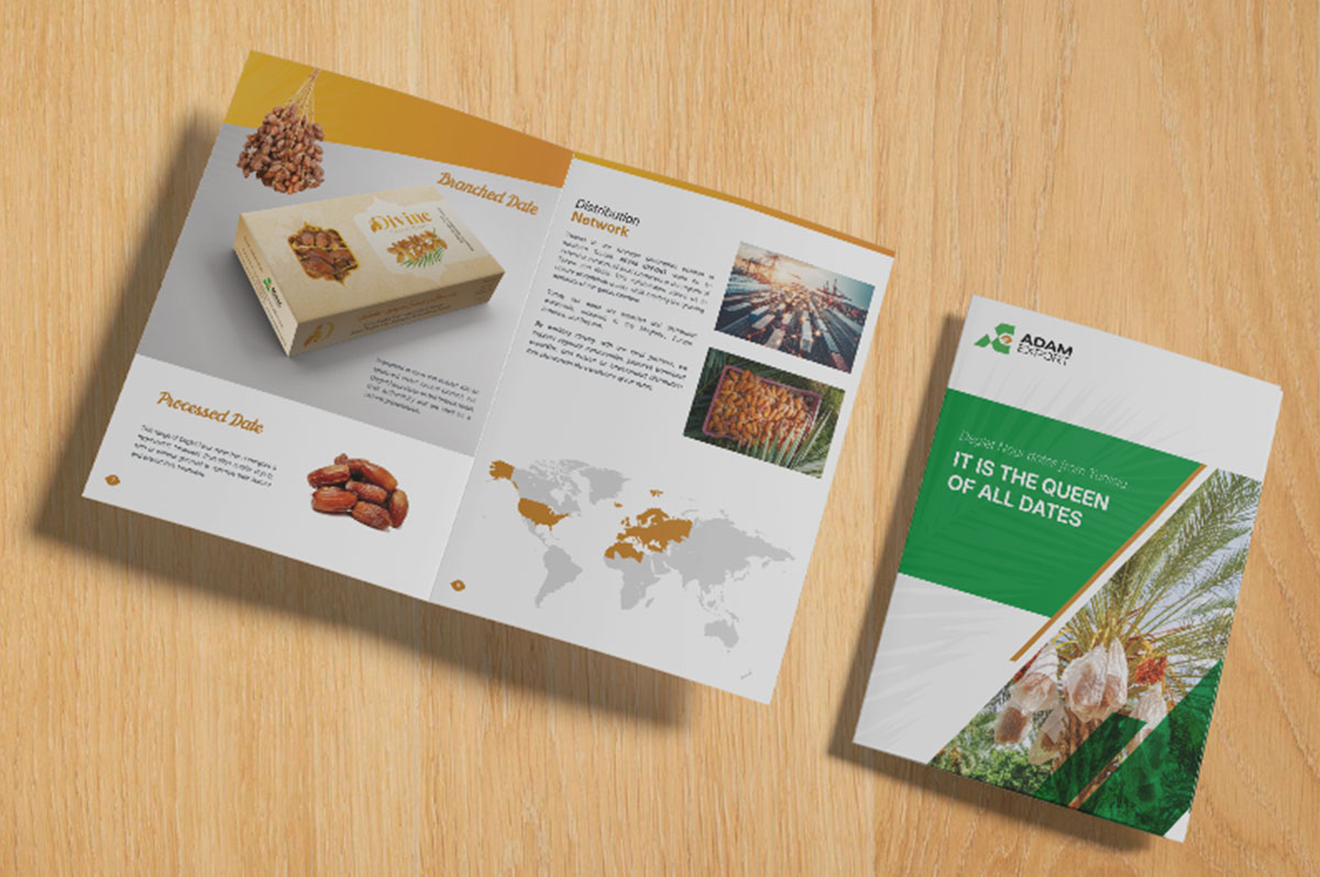 Conception dépliant adam-export en Tunisie