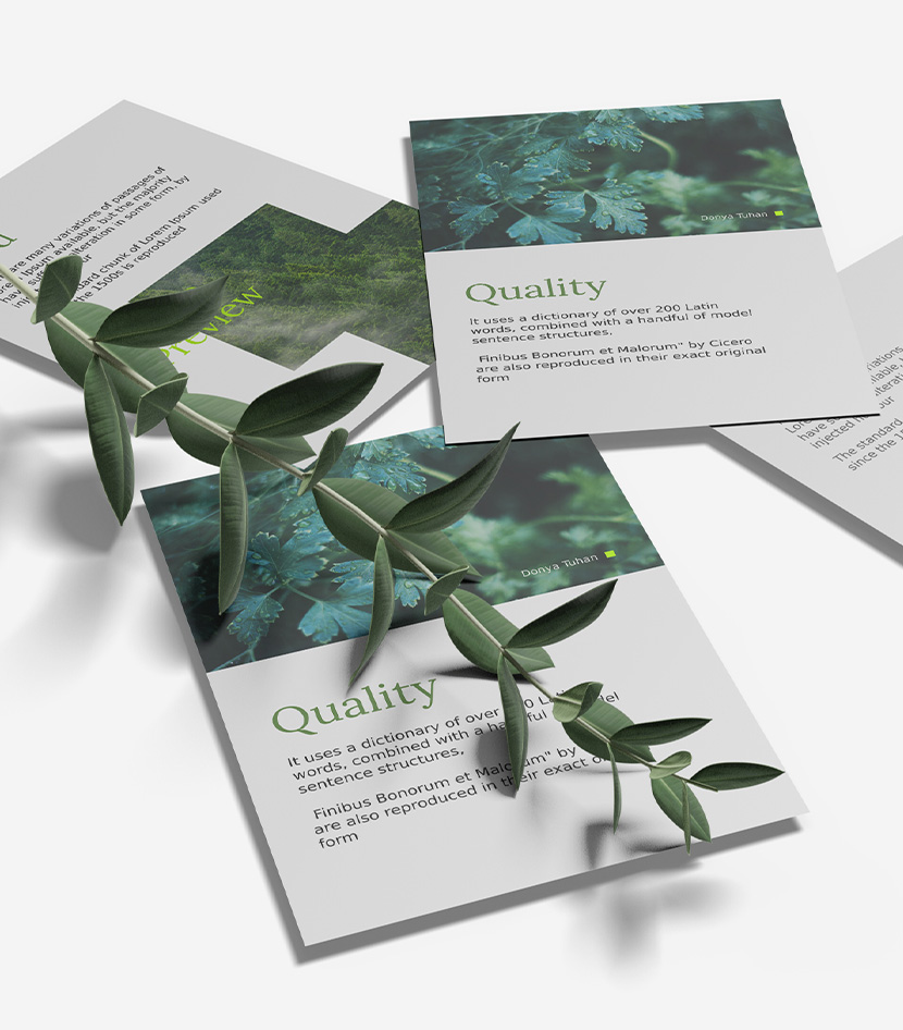 Conception brochure en tunisie