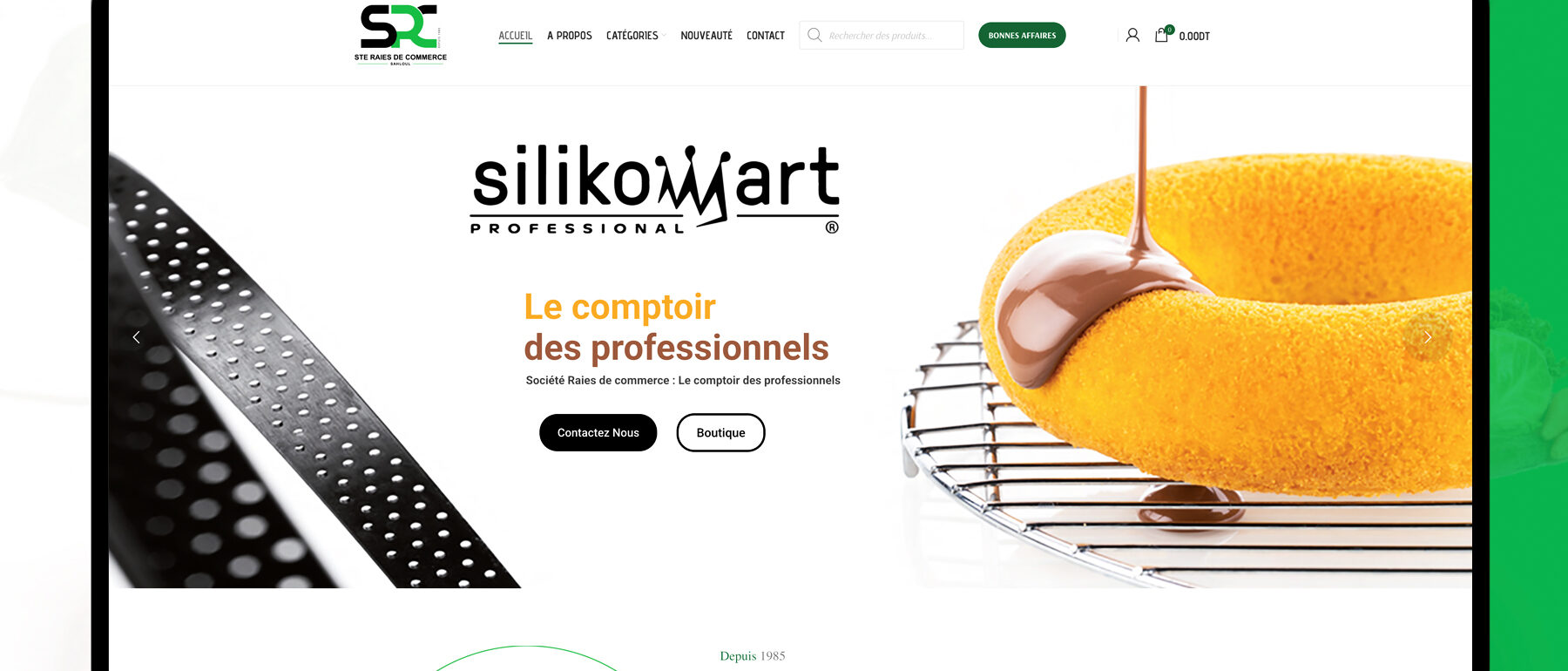création site e-commerce raies en Tunisie