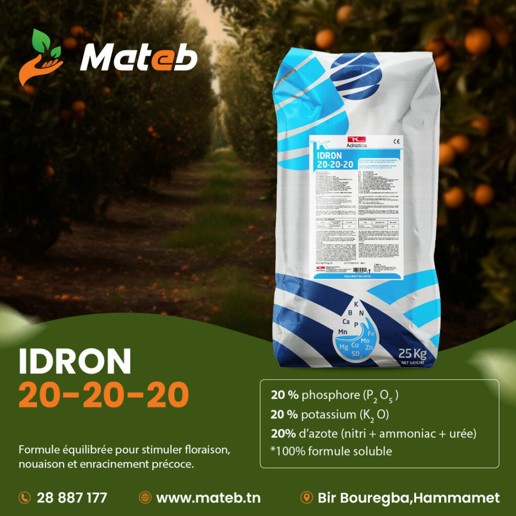 IDRON-20-20-20