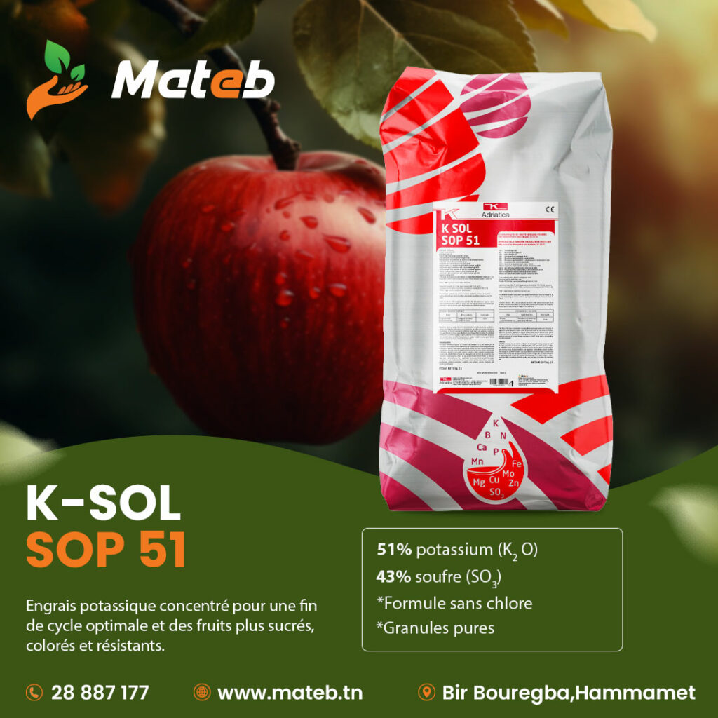 K-SOL-SOP-51 K-SOL-SOP-51